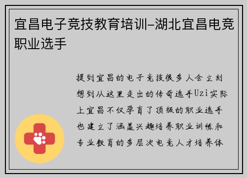 宜昌电子竞技教育培训-湖北宜昌电竞职业选手